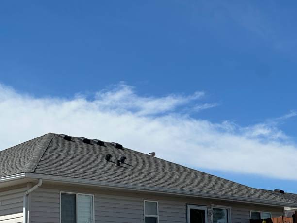 Best Rubber Roofing (EPDM, TPO)  in Big Timber, MT